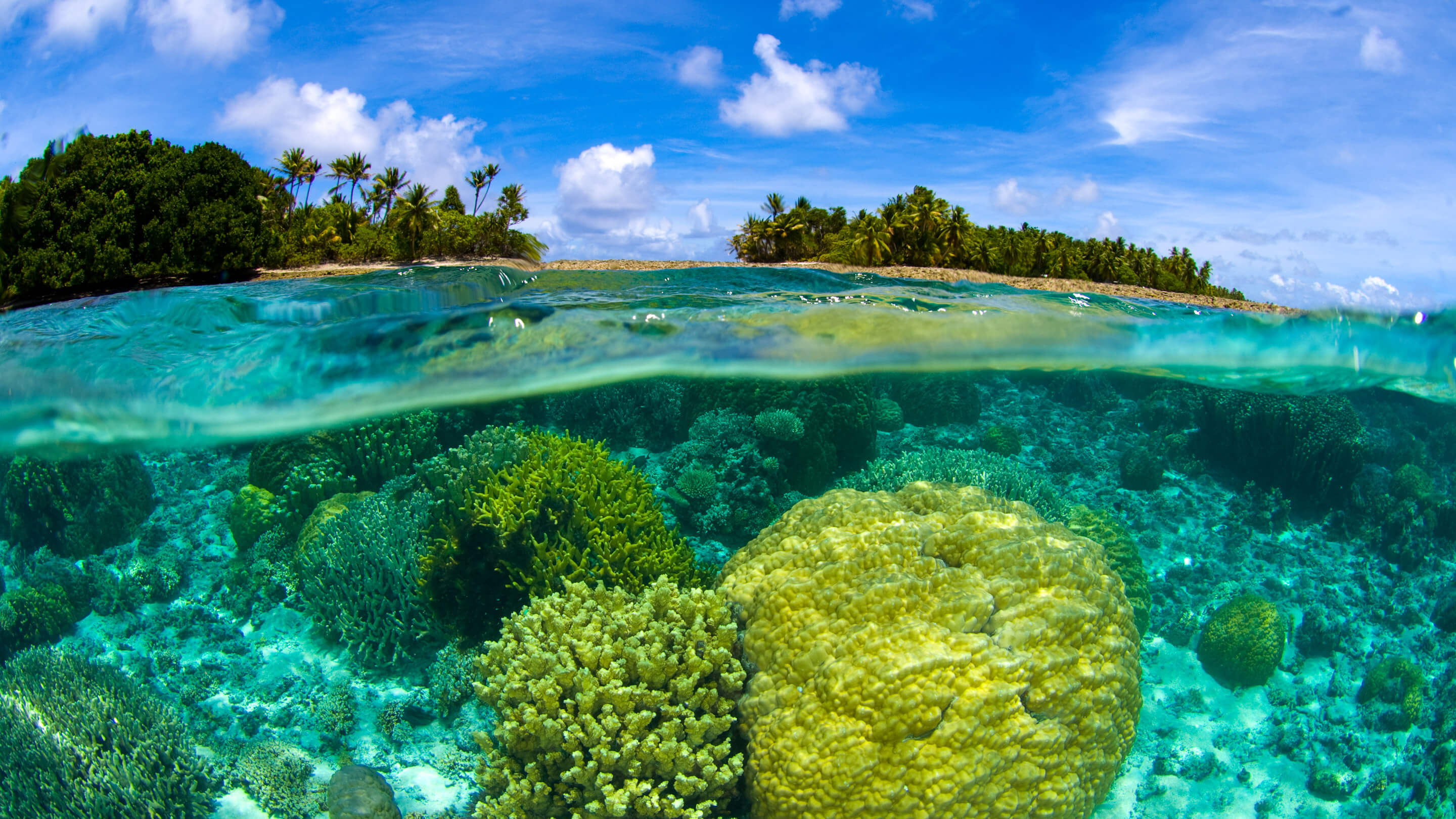 Самое лучшее море. Маршалловы острова природа. Hayman Island коралловое море. Коралловые рифы Атоллы. Маршалловы острова кораллы.