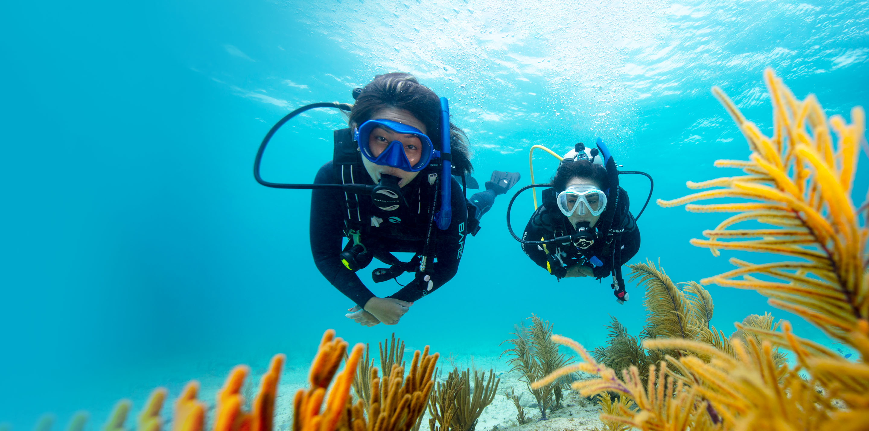 10 Essential Safety Rules to Become a Confident Scuba Diver – A Scuba Woman