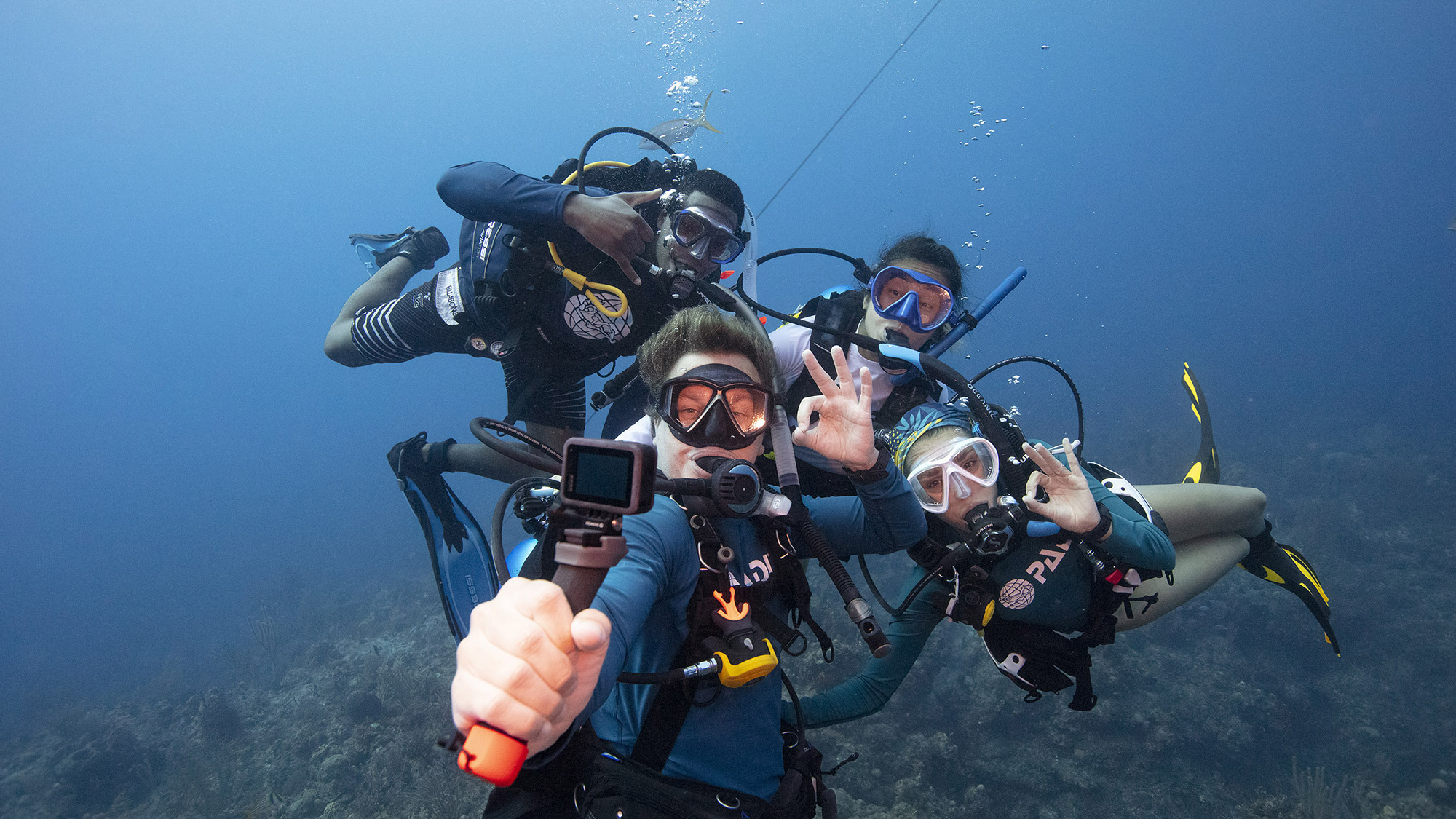 Join PADI Club™ And Stay Connected With The Underwater World