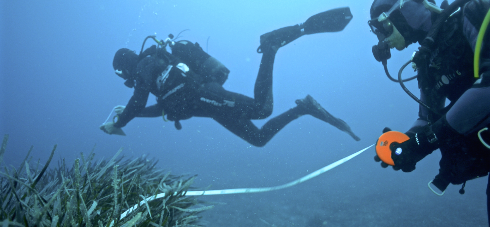 Divers in Action - Kosamere 