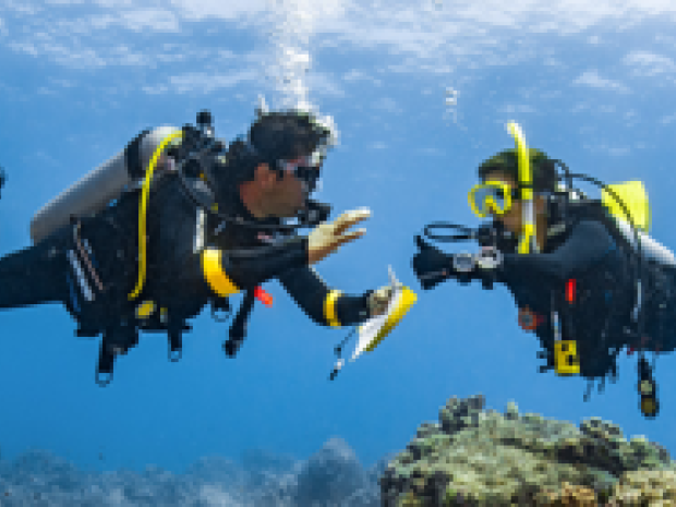 Club Benefits & FAQ | PADI