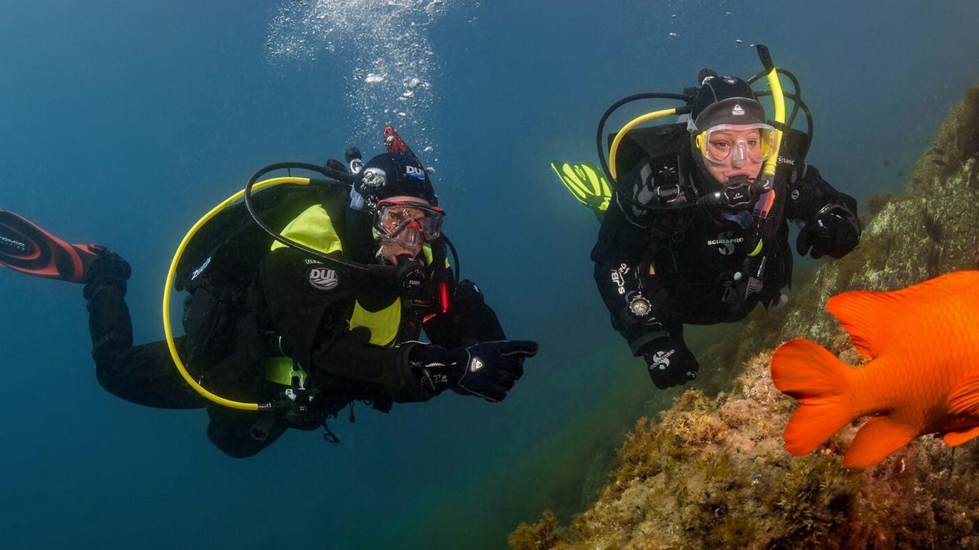 padi drysuit course