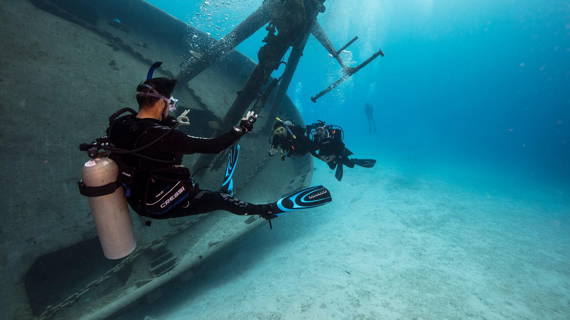 PADI Professional | PADI